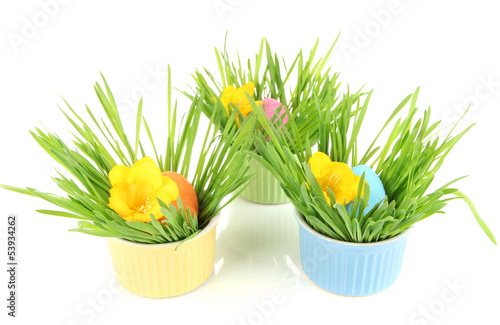 Photo: Easter eggs in bowls with grass on table isolated on white Easter eggs in bowls with grass on table isolated on white
