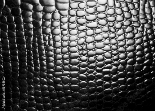 Photo: Black leather snake texture Black leather snake texture
