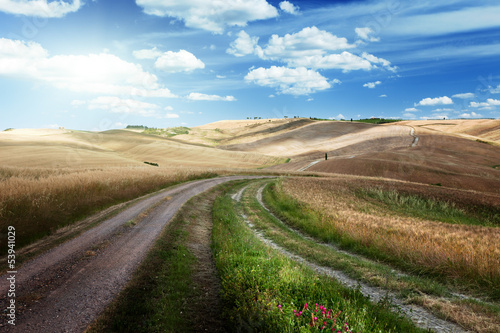 Photo: Road between the Fields of Tuscany, Italy Road between the Fields of Tuscany, Italy