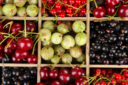 Photo: Different summer berries in wooden crate, close up Different summer berries in wooden crate, close up
