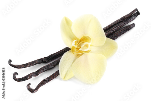 Photo: Vanilla sticks with a flower. Vanilla sticks with a flower.
