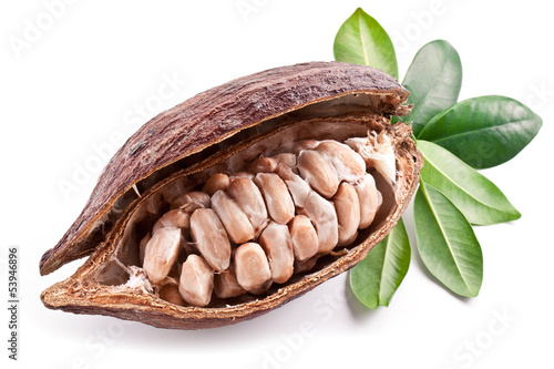 Photo: Cocoa pod Cocoa pod