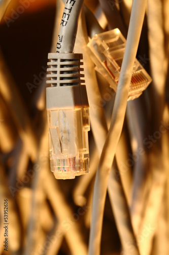 Photo: Insulated cords of network link Insulated cords of network link