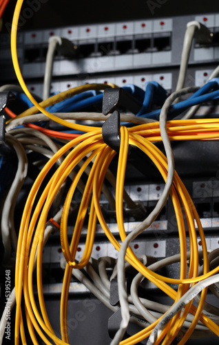 Photo: Insulated cords of network link Insulated cords of network link
