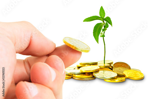Photo: Successful investment. Successful investment.
