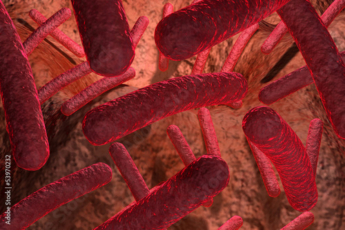 Illustration: Bacteria.. Bacteria..