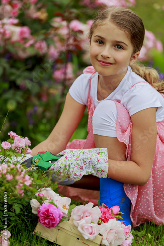 Photo: Rose garden - beautiful girl cutting roses in the garden Rose garden - beautiful girl cutting roses in the garden