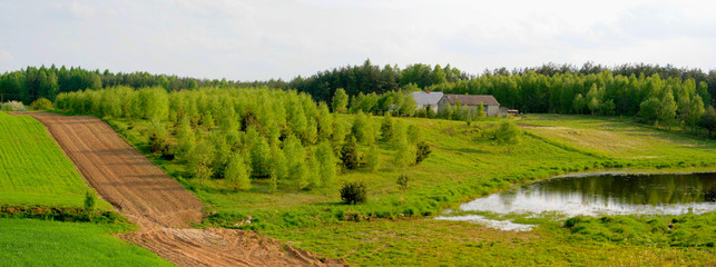 Przyroda
