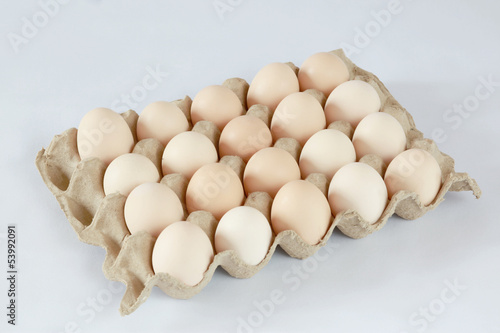 Photo: Their eggs in the container Their eggs in the container
