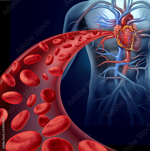 Illustration: Heart Blood Health Heart Blood Health