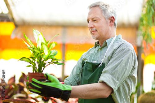 Photo: Greenhouse employee Greenhouse employee