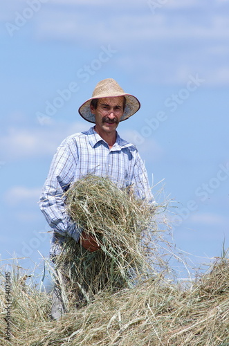 Photo: Polnik przy sianie na tle nieba Polnik przy sianie na tle nieba
