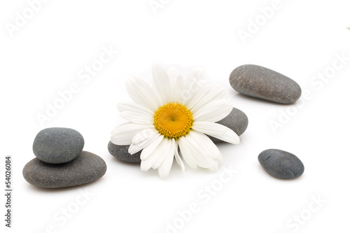 Photo: Spa stones. Spa stones.