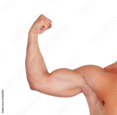 Photo: Strong biceps Strong biceps