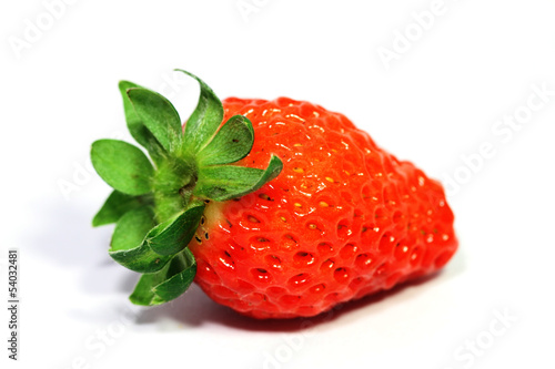Photo: Erdbeerernte Erdbeerernte