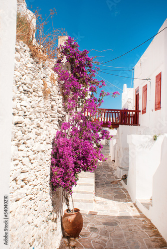 Fototapeta Traditional greek alley on Sifnos island, Greece