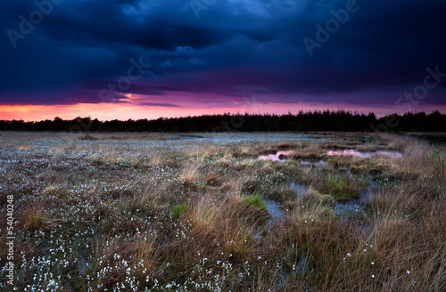 Photo: purple stormy sunset over swamp purple stormy sunset over swamp