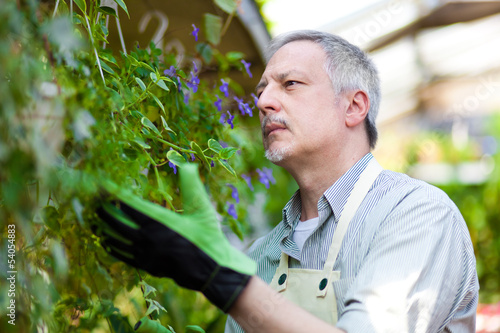 Photo: Greenhouse employee Greenhouse employee