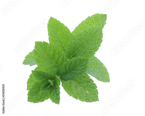 Photo: Mint Mint