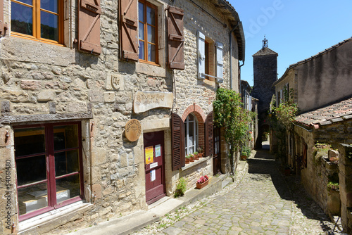 Photo: Château de Penne dans le Tarn Château de Penne dans le Tarn