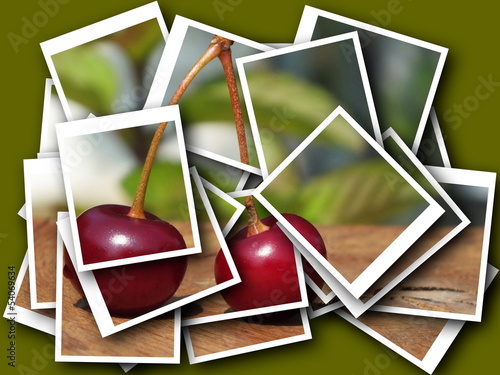 Photo: freshly picked from the tree bio churches freshly picked from the tree bio churches