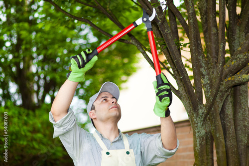 Photo: Gardener trimming plants Gardener trimming plants