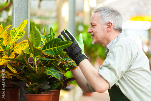 Photo: Greenhouse employee Greenhouse employee