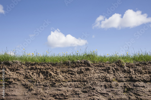 Photo: Earth grass and sky Earth grass and sky