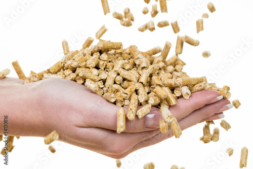 Photo: Hand mit Pellets als alternatie Energie Hand mit Pellets als alternatie Energie