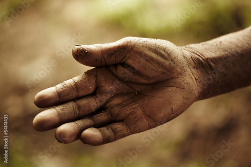 Photo: farmer hands. farmer hands.