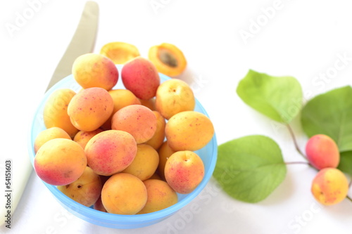 Photo: Apricots Apricots