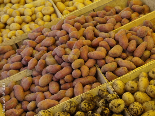Photo: kartoffelsorten auf dem markt kartoffelsorten auf dem markt