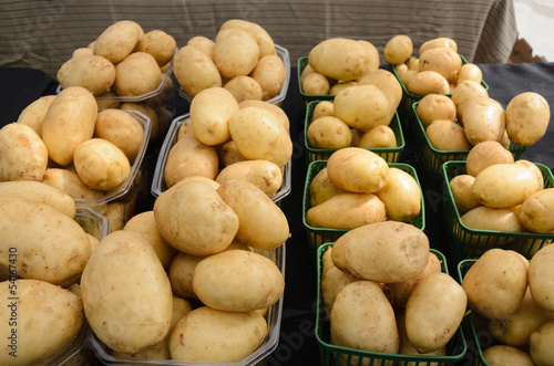 Photo: Organic Potatoes at Farmers Market Organic Potatoes at Farmers Market