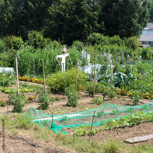 Photo: Jardins ouvriers communautaires Jardins ouvriers communautaires