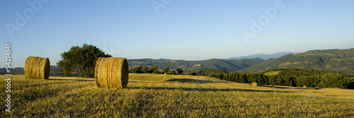 Photo: Rotoballe nella campagna toscana Rotoballe nella campagna toscana