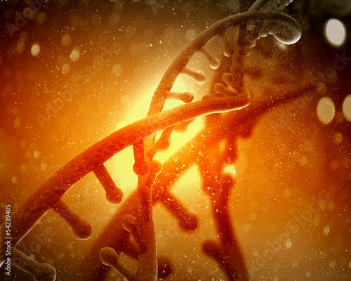 Illustration: DNA molecule DNA molecule