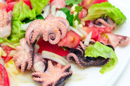 Photo: octopus salad octopus salad