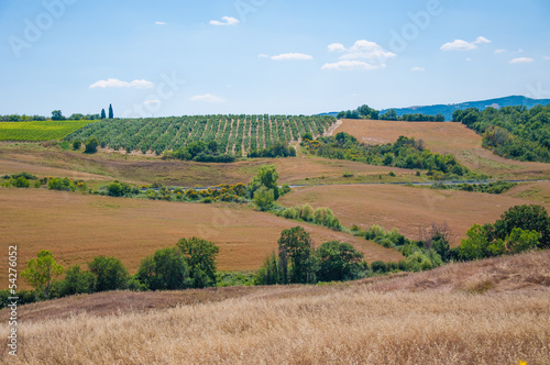 Photo: paesaggio della val d'orcia paesaggio della val d'orcia