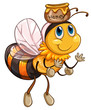 A bee flying with a pot of honey A bee flying with a pot of honey