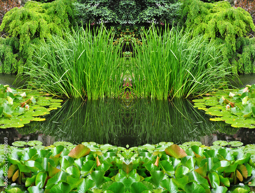 Photo: Green garden landscape Green garden landscape