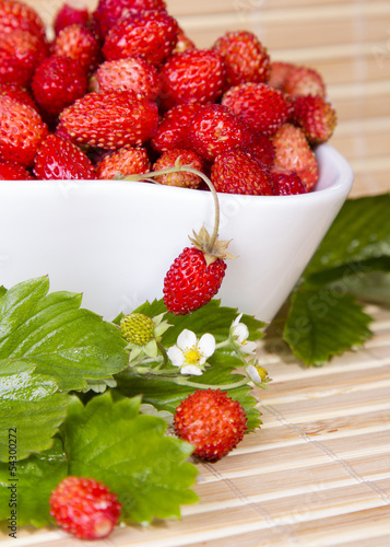 Photo: Wild strawberries in a small bowl, surrounded by leaves Wild strawberries in a small bowl, surrounded by leaves