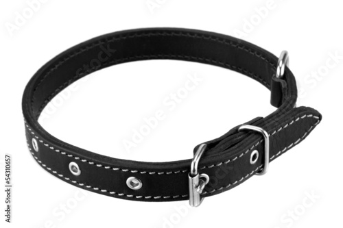 Photo: black leather dog collar black leather dog collar