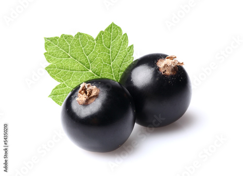 Photo: Two currants with leaf Two currants with leaf