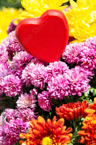 Photo: Herz und Blumen Herz und Blumen