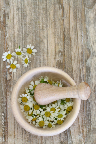 Photo: Chamomile flowers in wooden mortar with copy space Chamomile flowers in wooden mortar with copy space