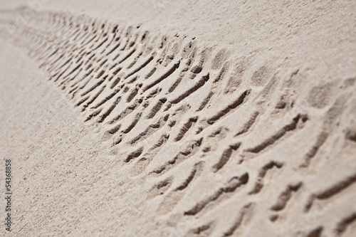Photo: tire traces tire traces