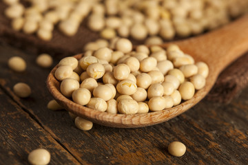 Organic Dry Soy Beans