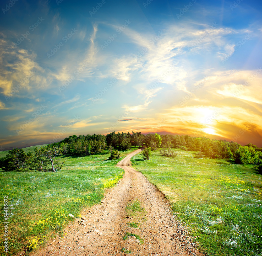 Country road in the mountains