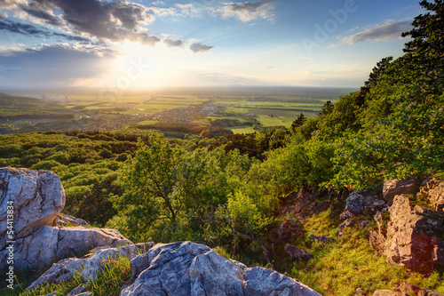 Photo: Green forest at sunset - Slovakia Green forest at sunset - Slovakia