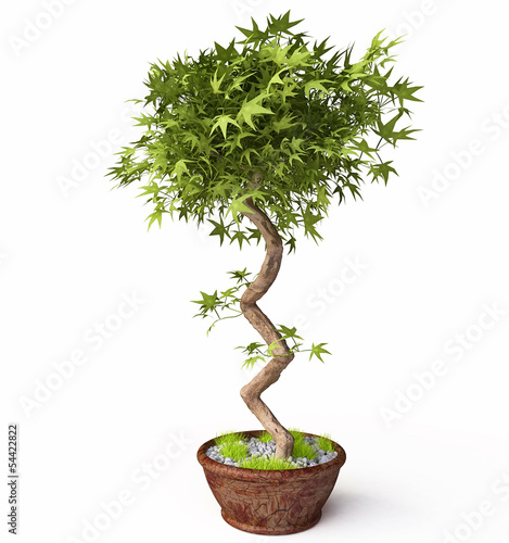 Illustration: Decorative Houseplant in 3d Decorative Houseplant in 3d